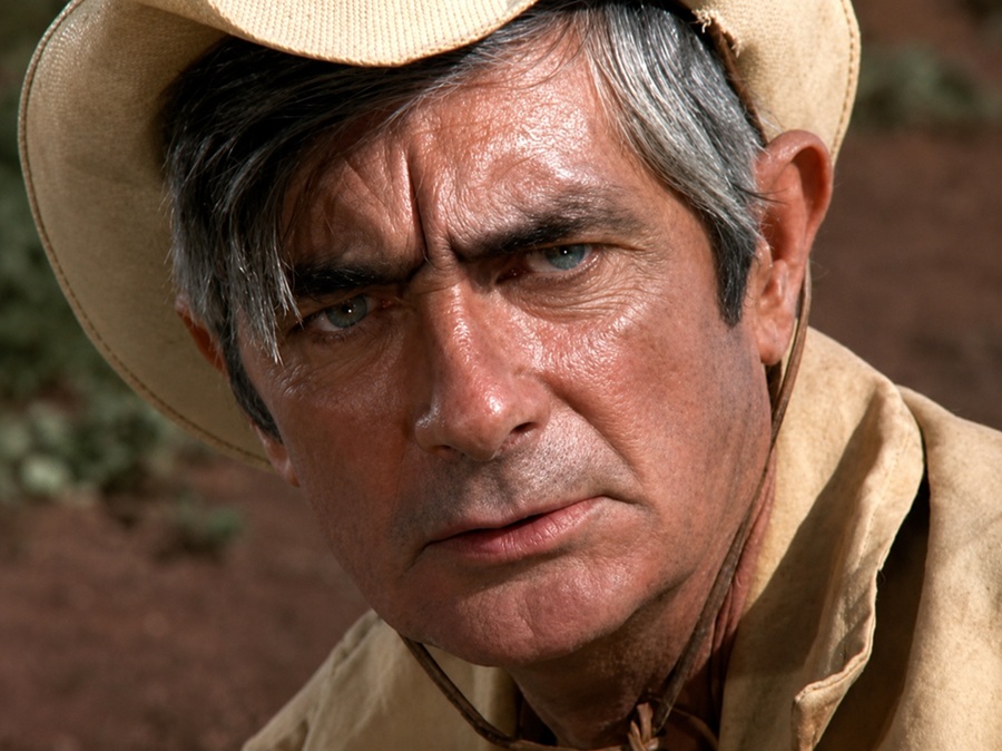 royal dano net worth