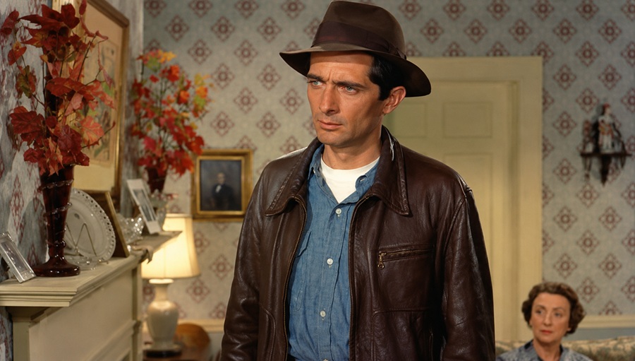 royal dano net worth
